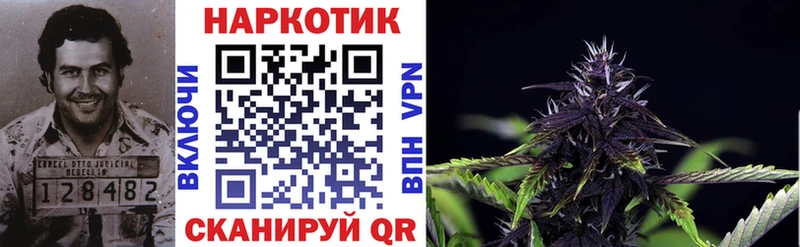 Где купить наркоту Заозёрск omg зеркало  Меф мяу мяу  АМФЕТАМИН  COCAIN  ГАШ  А ПВП 