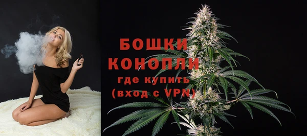 спайс Вязьма