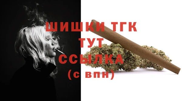 мдпв Весьегонск