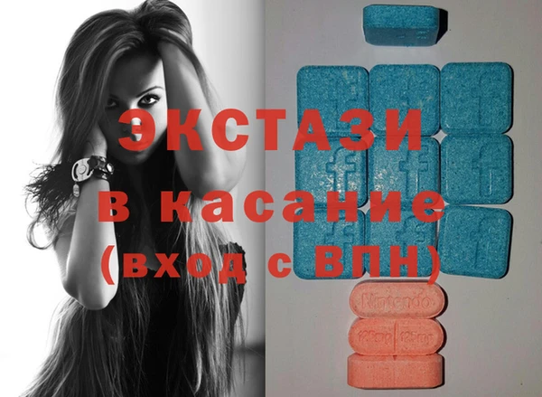 индика Горнозаводск