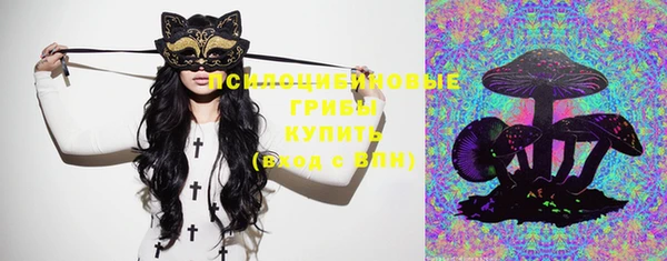 мдпв Весьегонск