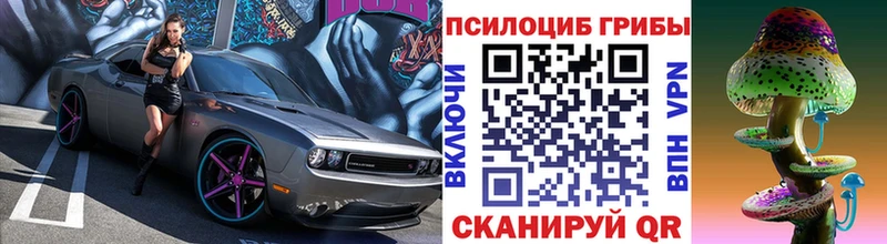Галлюциногенные грибы мухоморы  Заозёрск 